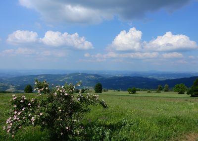 planina-rajac